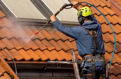 Démoussage et hydrofuge de toiture à Buisson
